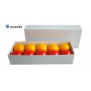 JOGO DE BOLA  MATA MATA ARAMITH 54,0MM COM 10 BOLAS